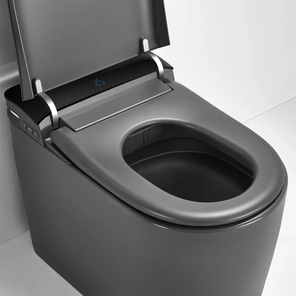 684*390*473mm Matte Grey Instant Heating Jet Siphon Type Flushing Smart Toilet