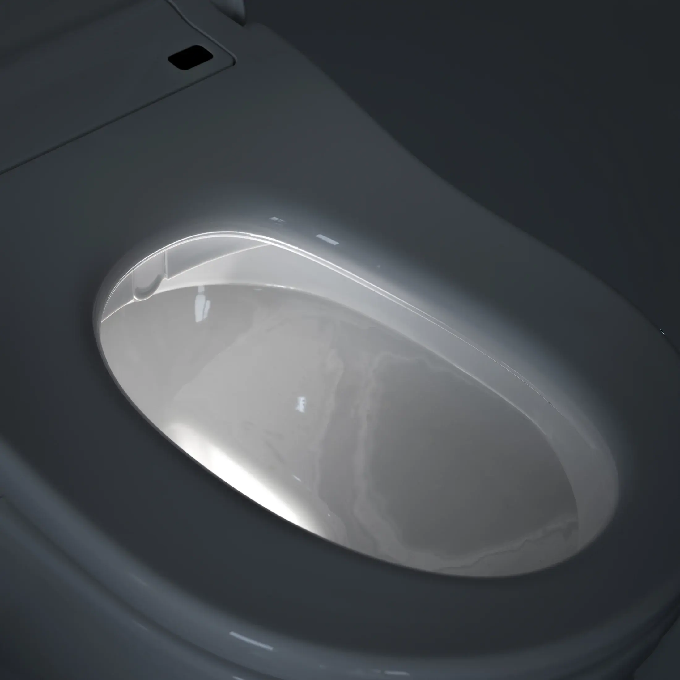 Mr BumWash D Shape Colour ED Bidet Seat