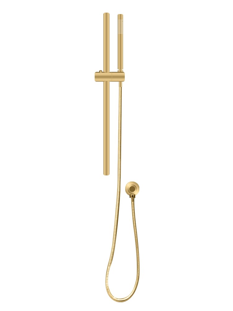 RUSHY Series Brushed Brass Handheld Shower Head (2147-1)