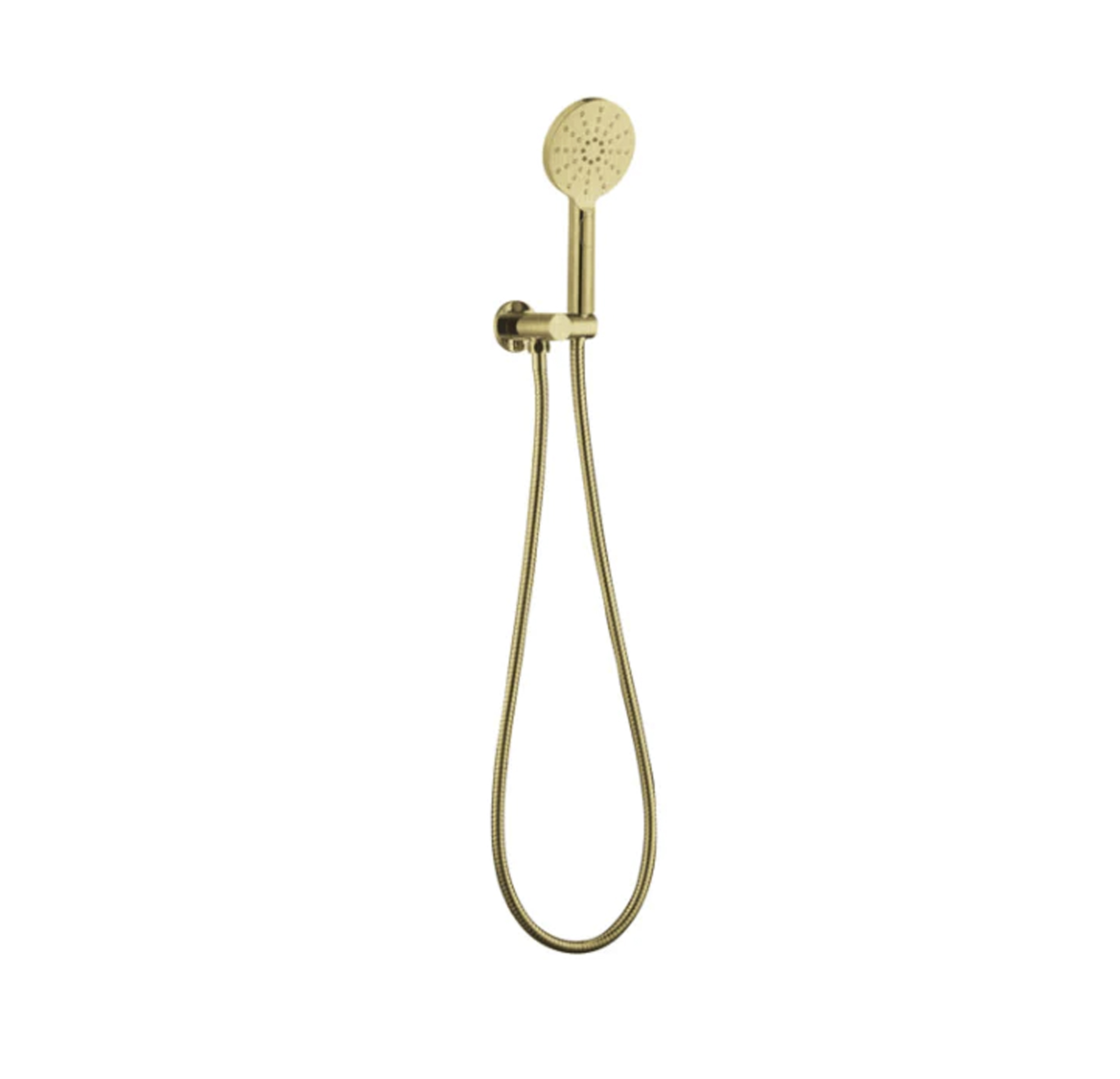 Pavia Brushed Gold Handheld Shower Set Round